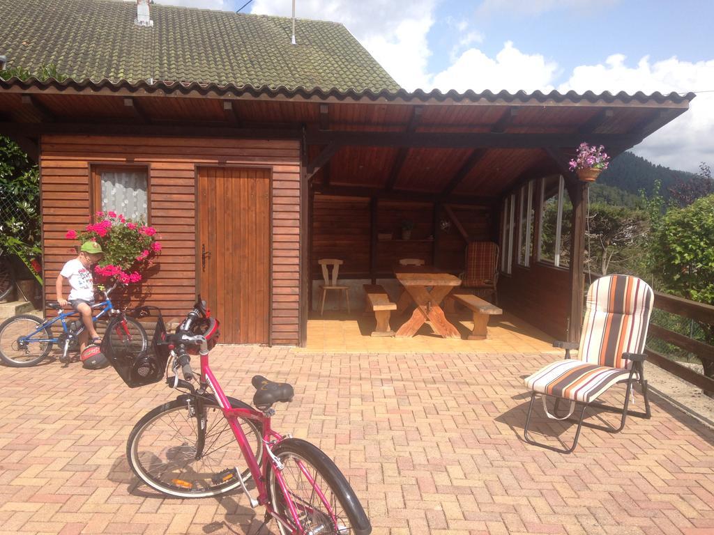 Gites Les Pins Et Les Bruyeres Wangenbourg-Engenthal Exterior foto